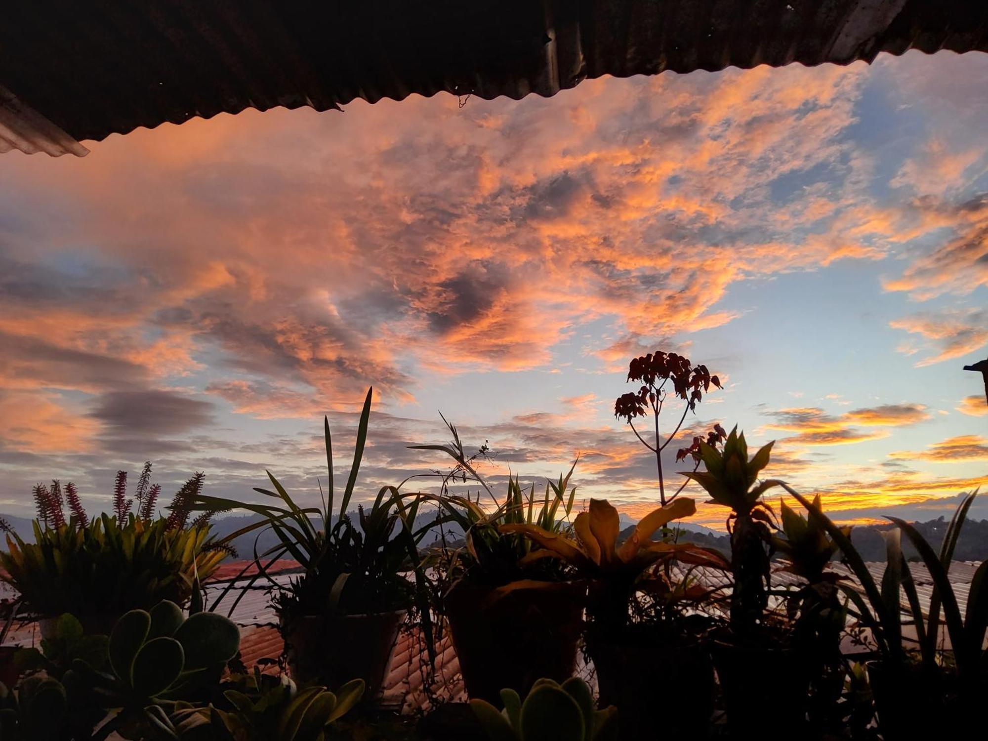 Hostal Musica Y Arte San Agustín Exteriér fotografie